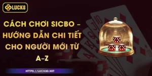 Cách Chơi Sicbo – Hướng Dẫn Chi Tiết Cho Người Mới Từ A–Z