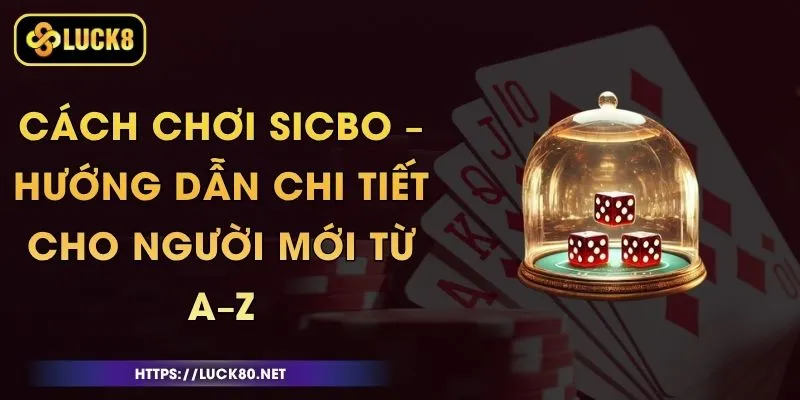 Cách Chơi Sicbo – Hướng Dẫn Chi Tiết Cho Người Mới Từ A–Z