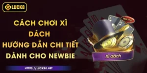 Cách Chơi Xì Dách - Hướng Dẫn Chi Tiết Dành Cho Newbie
