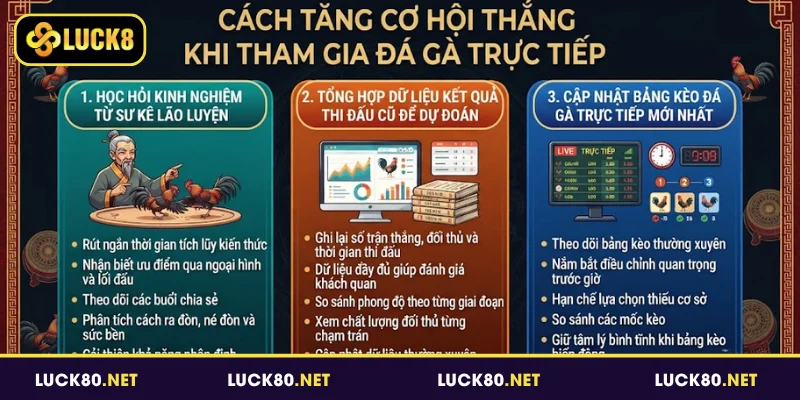 Cách tăng cơ hội thắng khi tham gia đá gà trực tiếp