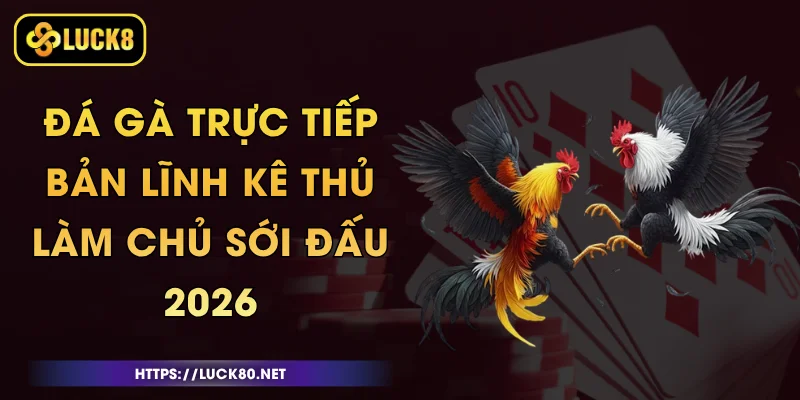 Đá Gà Trực Tiếp - Bản Lĩnh Kê Thủ, Làm Chủ Sới Đấu 2026