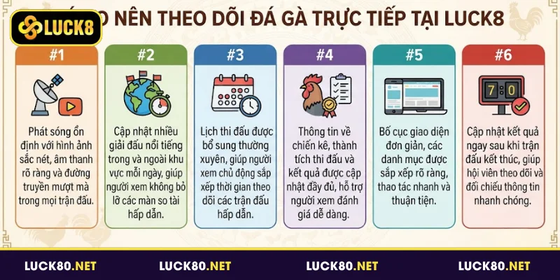 Lý do nên theo dõi đá gà trực tiếp tại Luck8